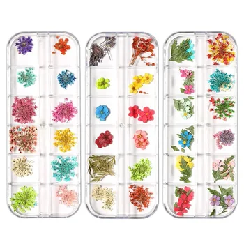 12 Mriežky/box Módne Japonský Suché Kvetinové Dekorácie Nechtov Prírodné Kvetinové 3D Nálepka Sušené kvety pre Nail Art Šperky Manikúra