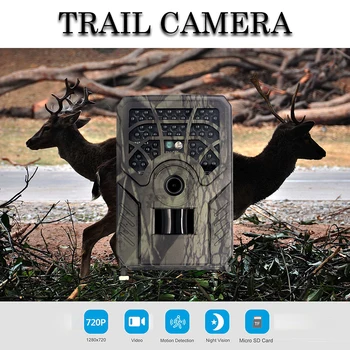Chodník Lov Kamera Webcam Wildcamera Wild Dohľadu Noc Verzia Voľne Žijúcich Živočíchov Skautingu Fotoaparáty, Foto Pasce Trati