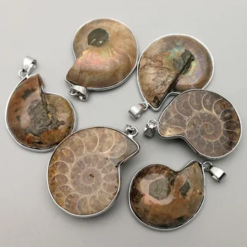 Móda prírodné Ammonite kameň Slimák Prívesky & náhrdelníky, prívesky 6pcs pre Šperky, takže Reliquiae Skamenelín Náhrdelník príslušenstvo
