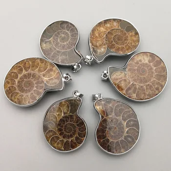 Móda prírodné Ammonite kameň Slimák Prívesky & náhrdelníky, prívesky 6pcs pre Šperky, takže Reliquiae Skamenelín Náhrdelník príslušenstvo