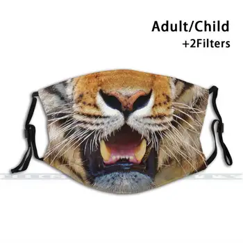 Tiger , Tiger Prachotesný Non-Jednorazové Úst Tvár Masku Pm2.5 Filtrov Pre Dieťa Dospelých Tiger Zvierat Mačka Big Cat Mňau Mačací
